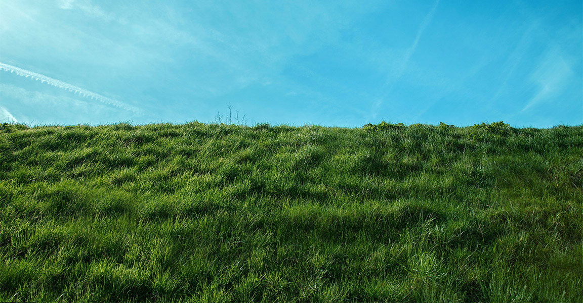 KPN Netwerk over duurzaamheid - Gras en blauwe lucht